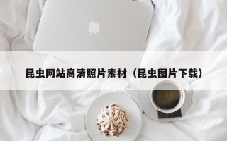 邓州昆虫网站高清照片素材（昆虫图片下载）